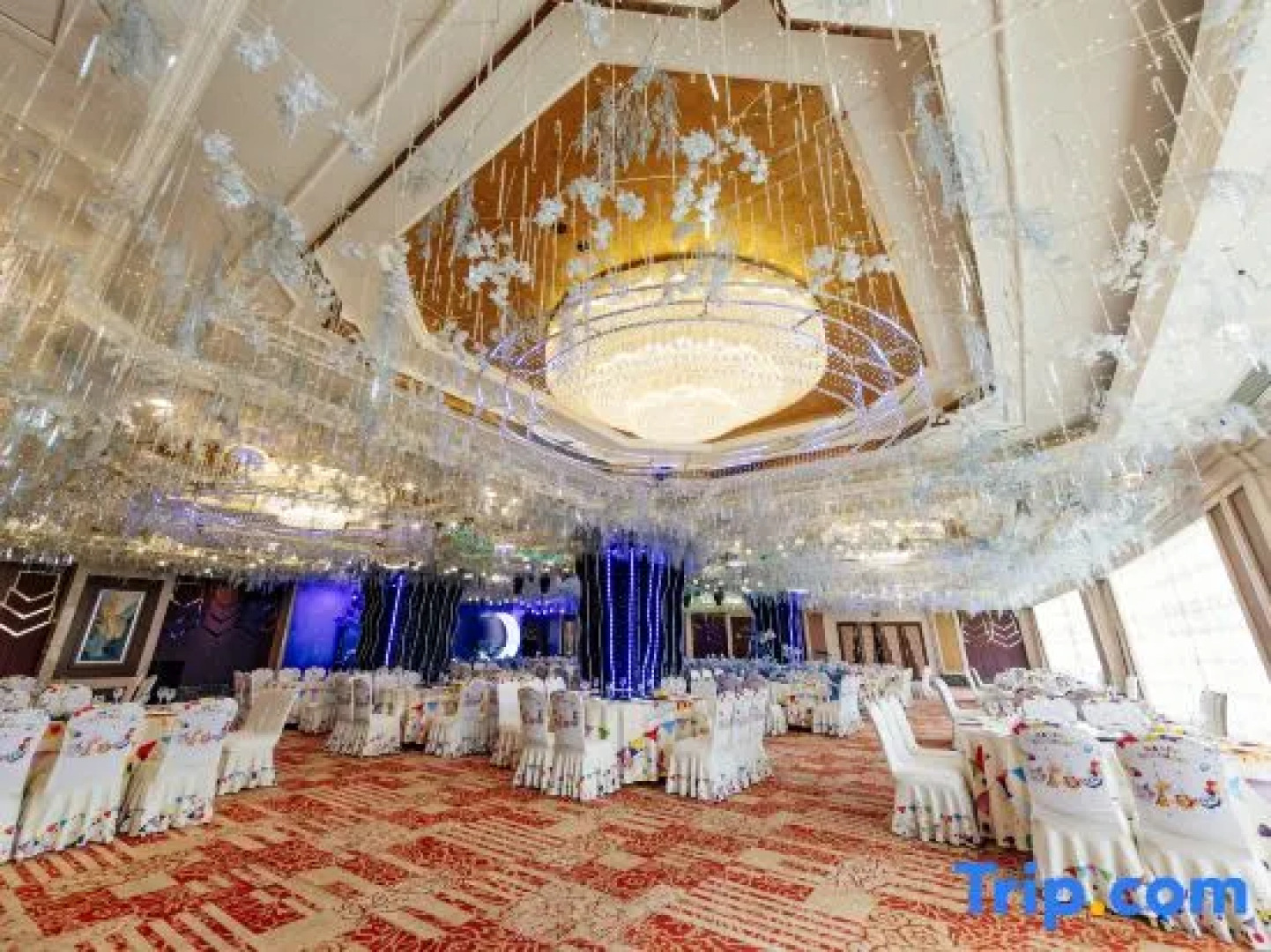 Galactic Garden International Hotel