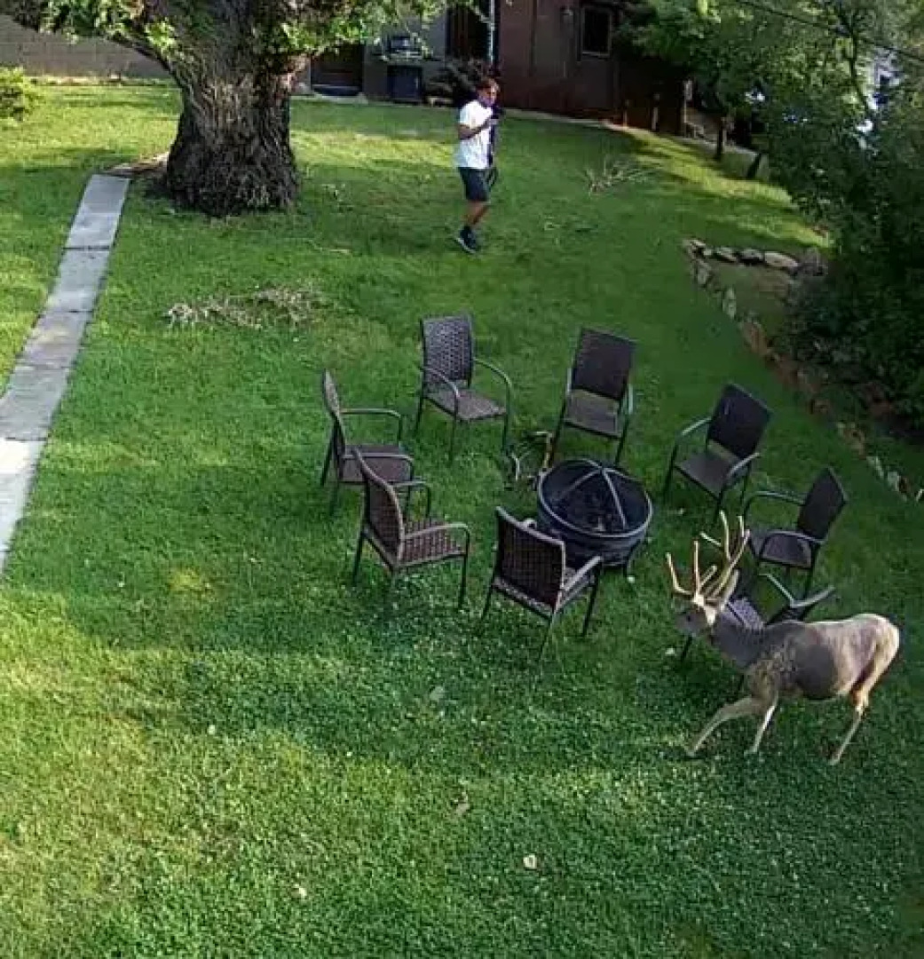 Yellowstone House of the Three Bears