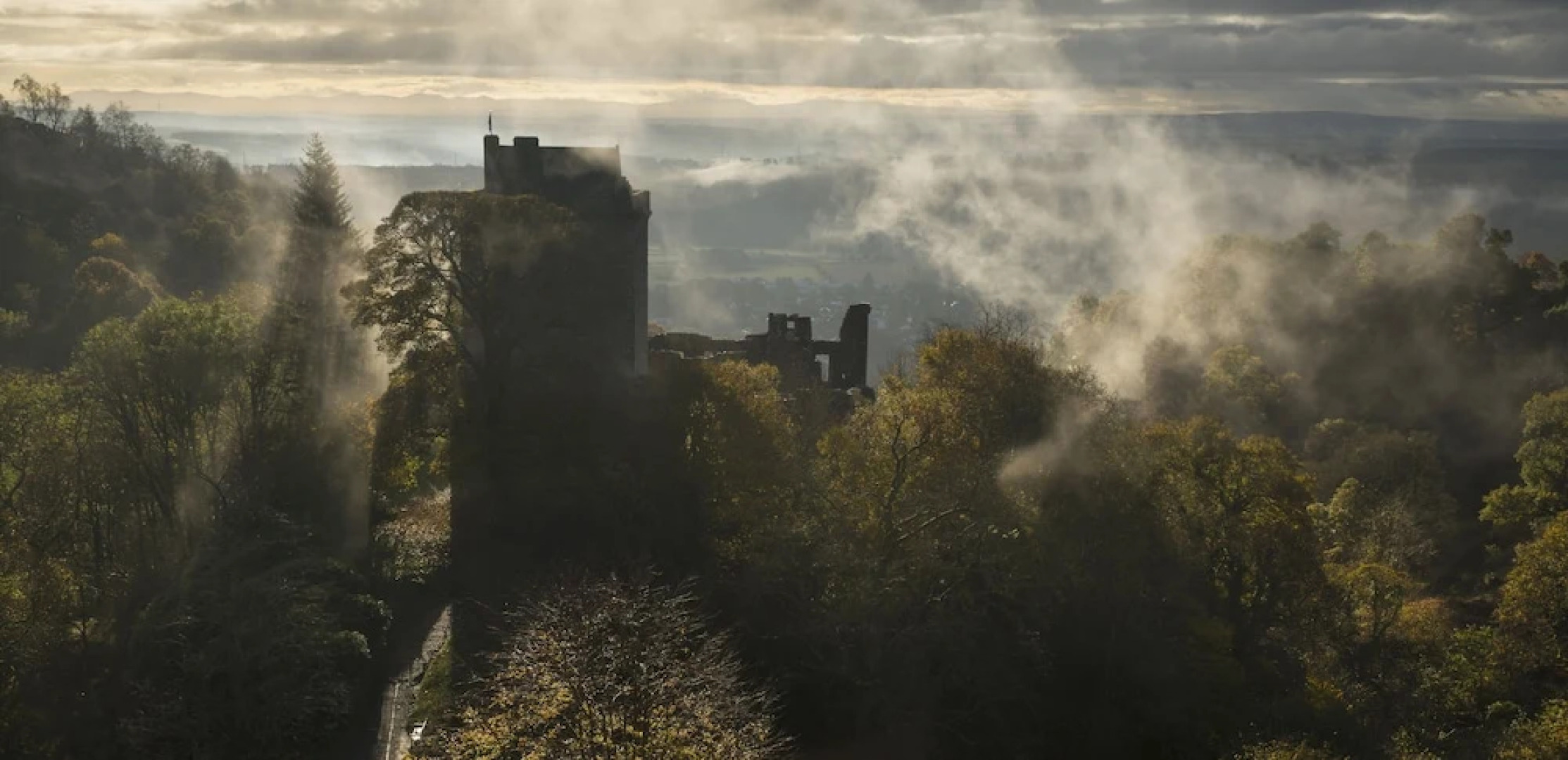 Dollar Apartments at 41