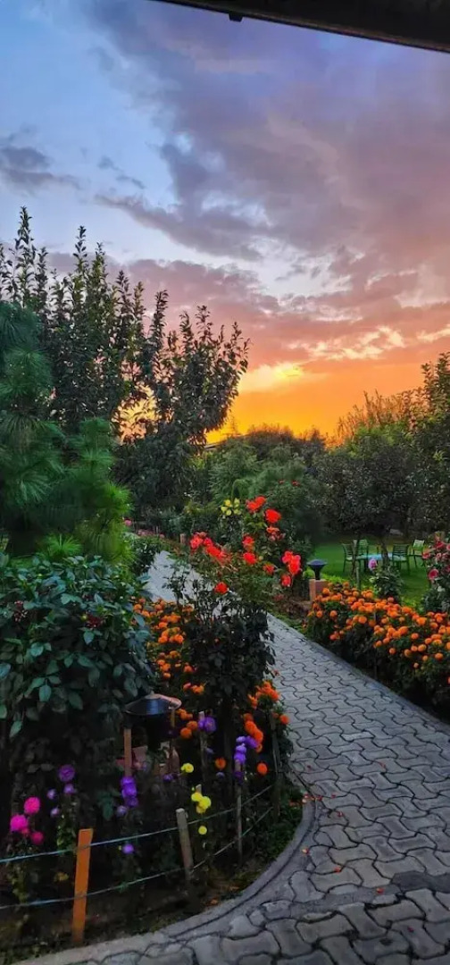The Orchard Retreat & Spa, Srinagar