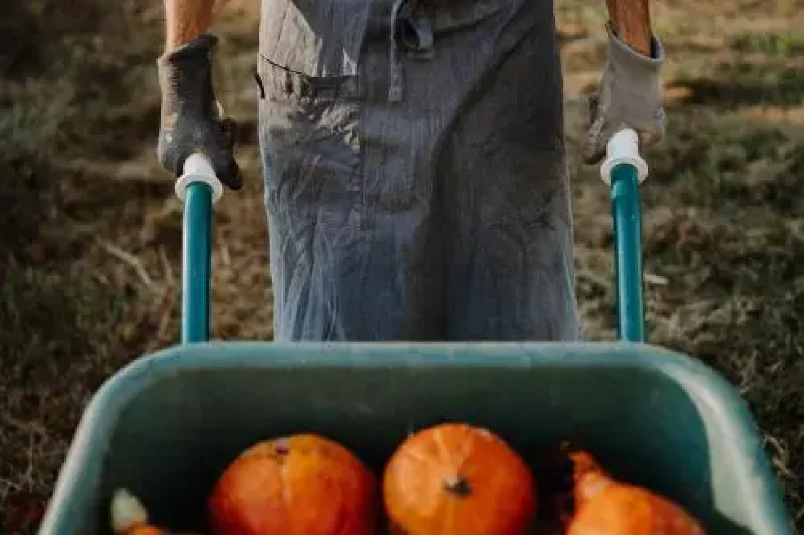 Villa Arnica Suites & Garden