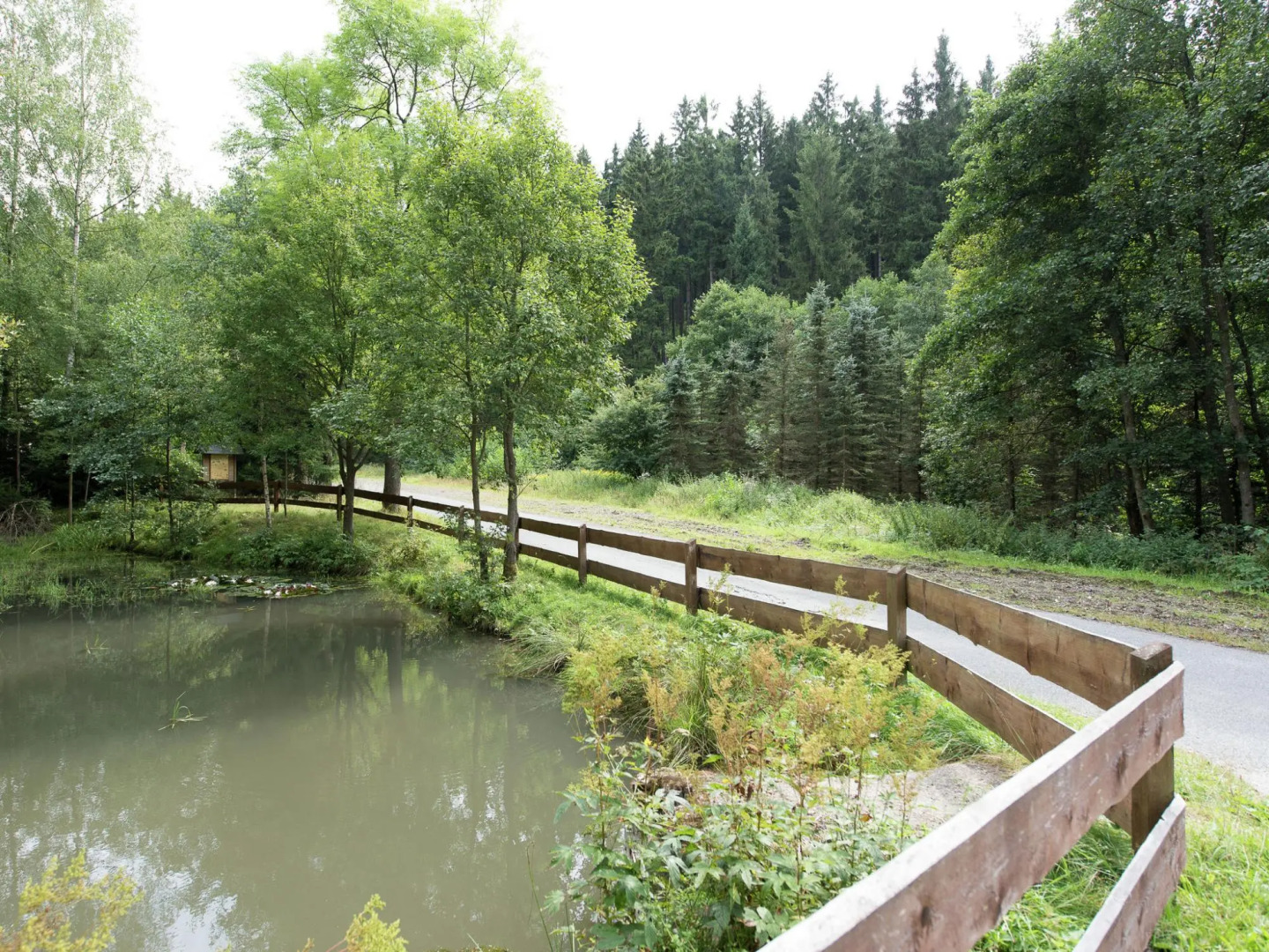 Apartment in Rittersgrun Near Ski Slopes