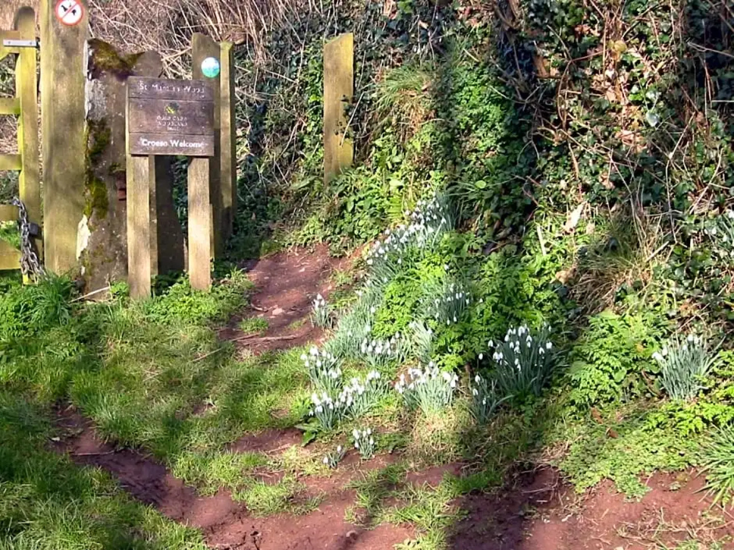 Longlane House B&B, Laugharne