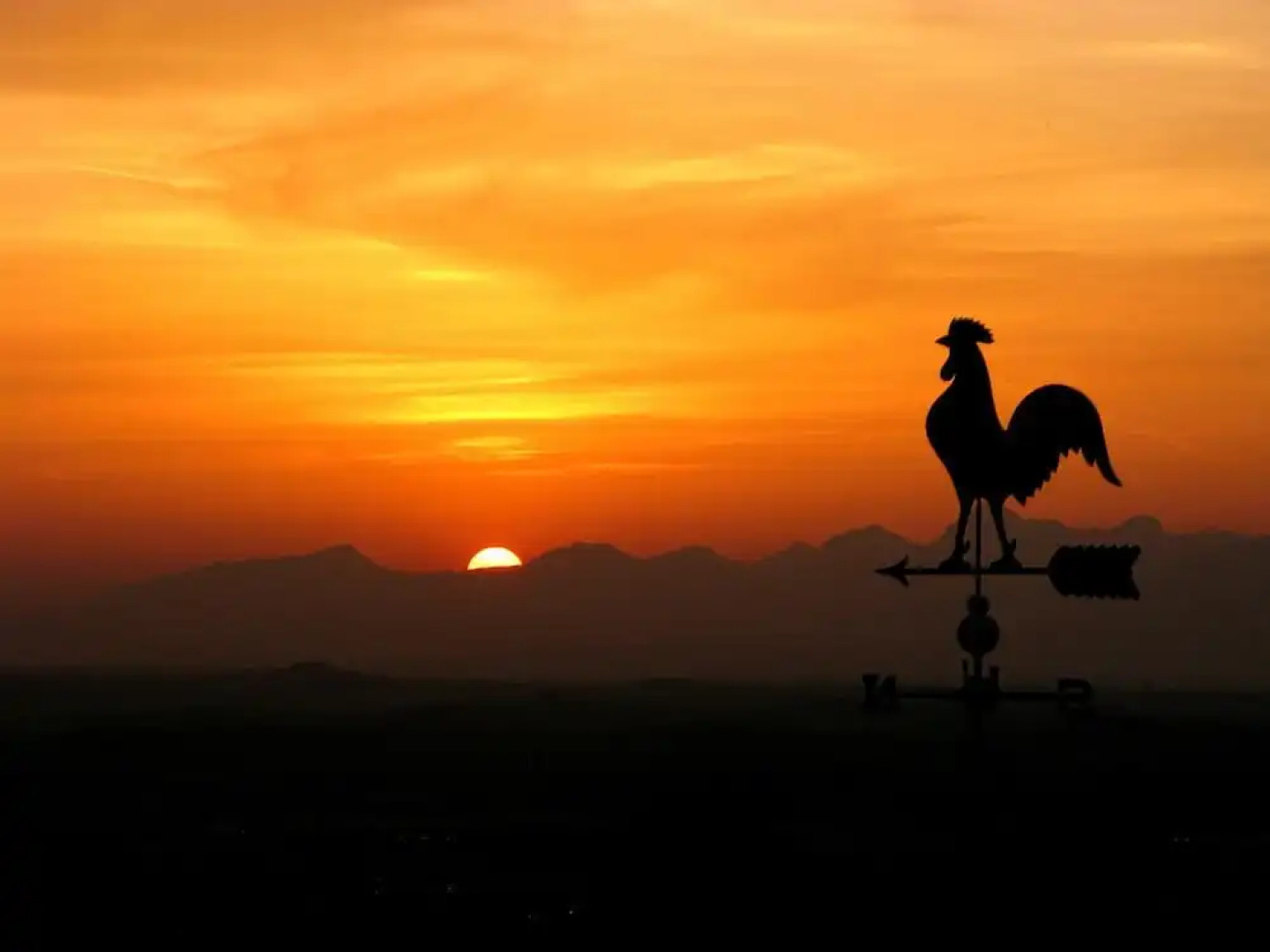 Verdidea - SOTTO COLLE