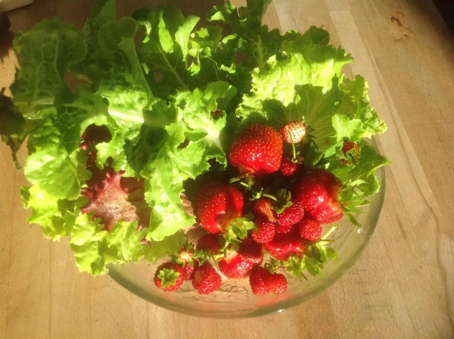 Villa Sedin Bed & Breakfast