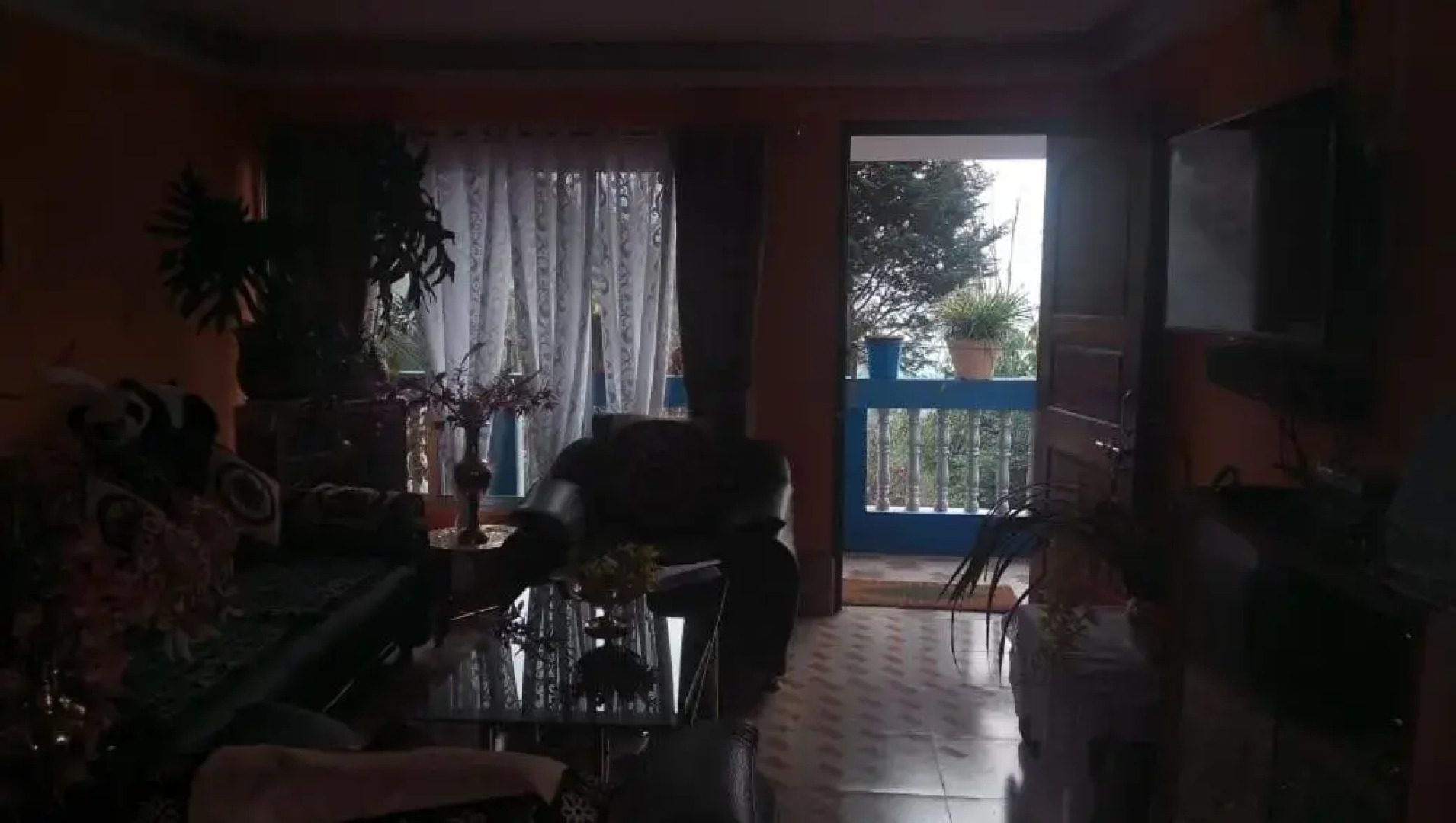 Vamoose Sanjeema Tea Estate Homestay