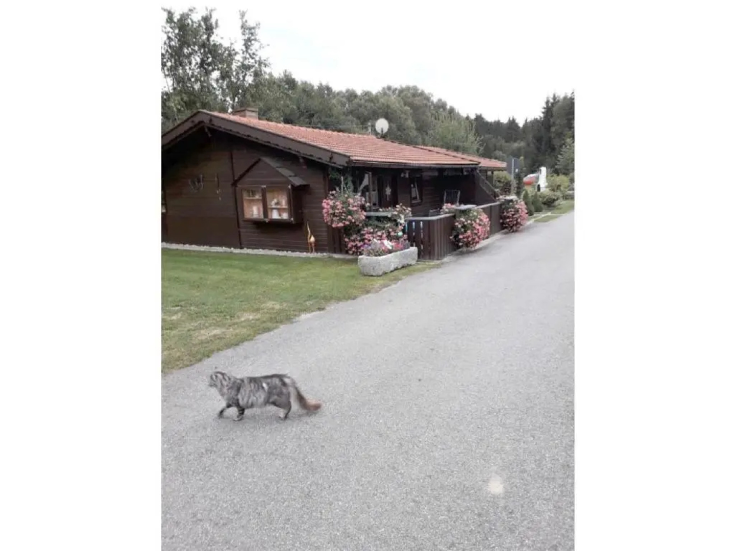 Gerda's Ferienhäuser
