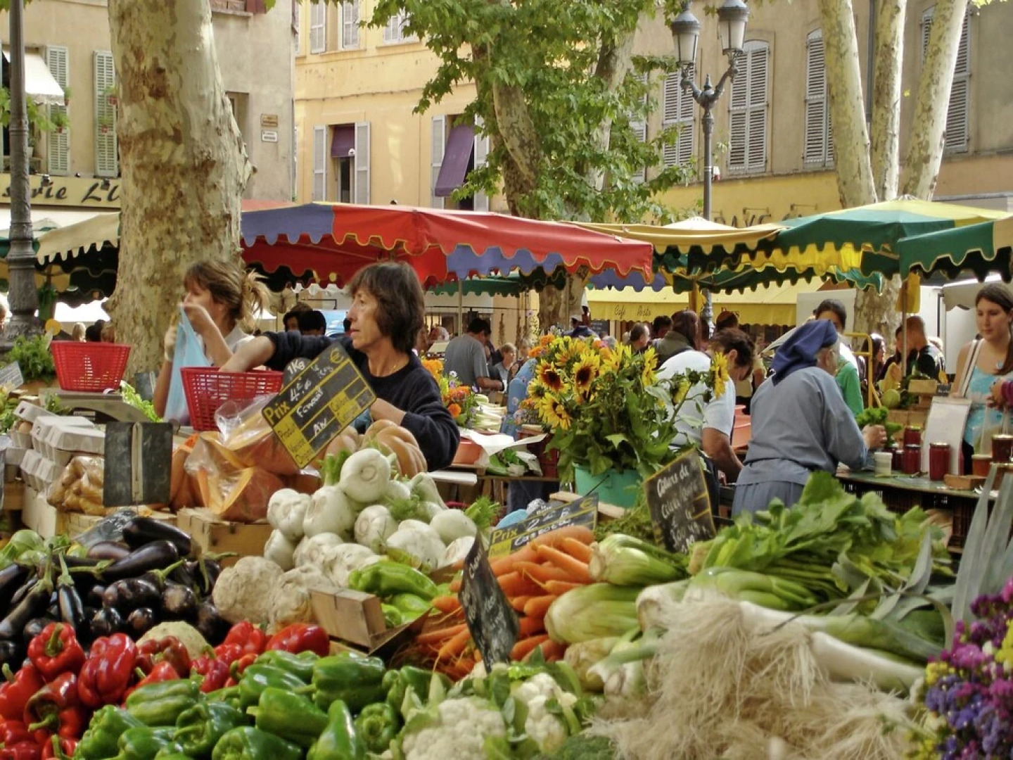 Modern Gîte With Pool on Large Property of Owner, 1 km From Provençal Village