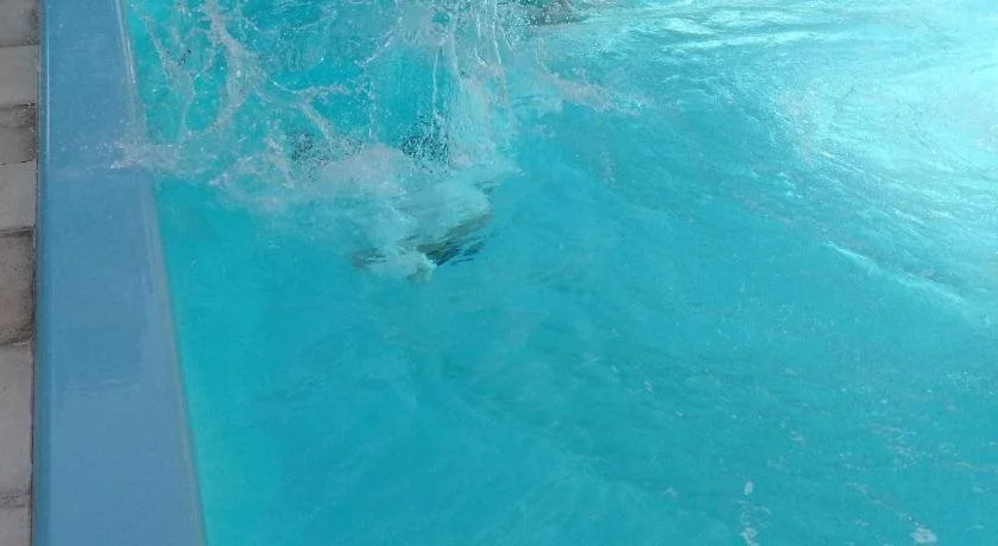 Cabañas Ensueño del Lago