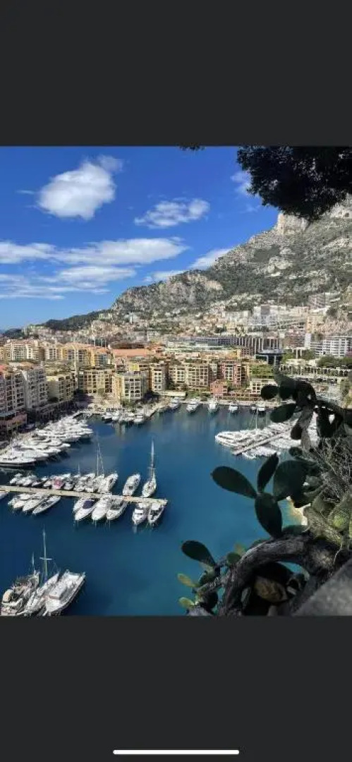 Superbe 2P vue mer, ensoleillé, piscine