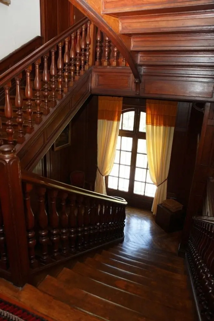 Rosa Enia Studio N 3