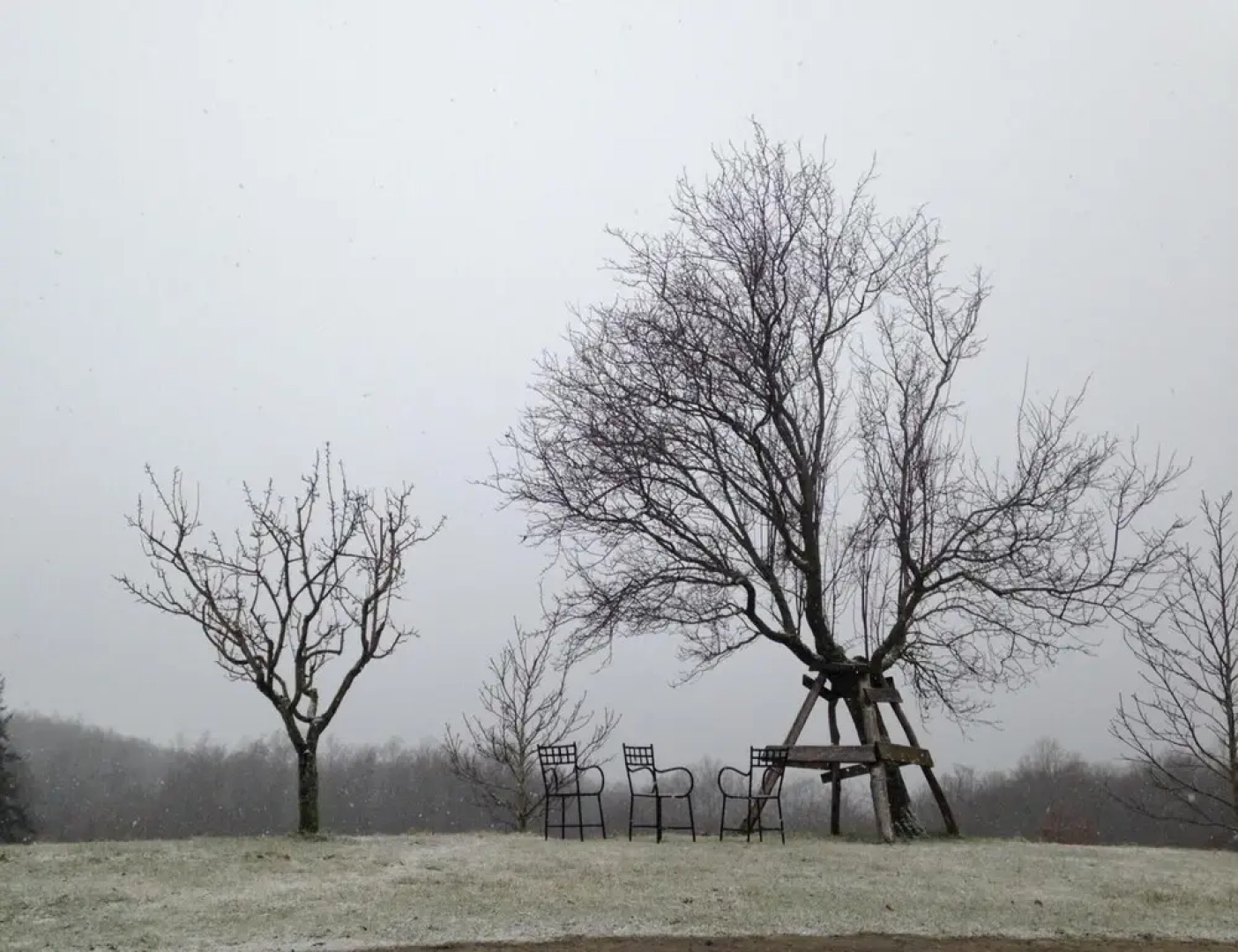 Agriturismo La Casina della Burraia