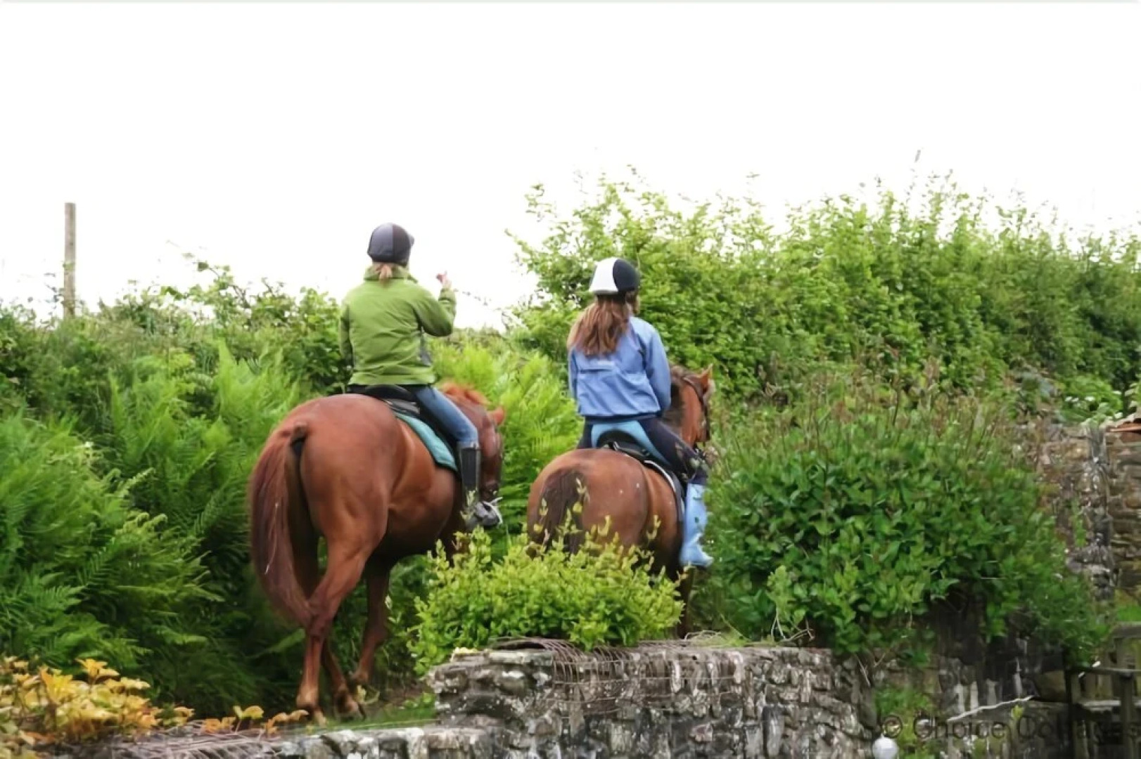 Braunton Burland House 5 Bedrooms