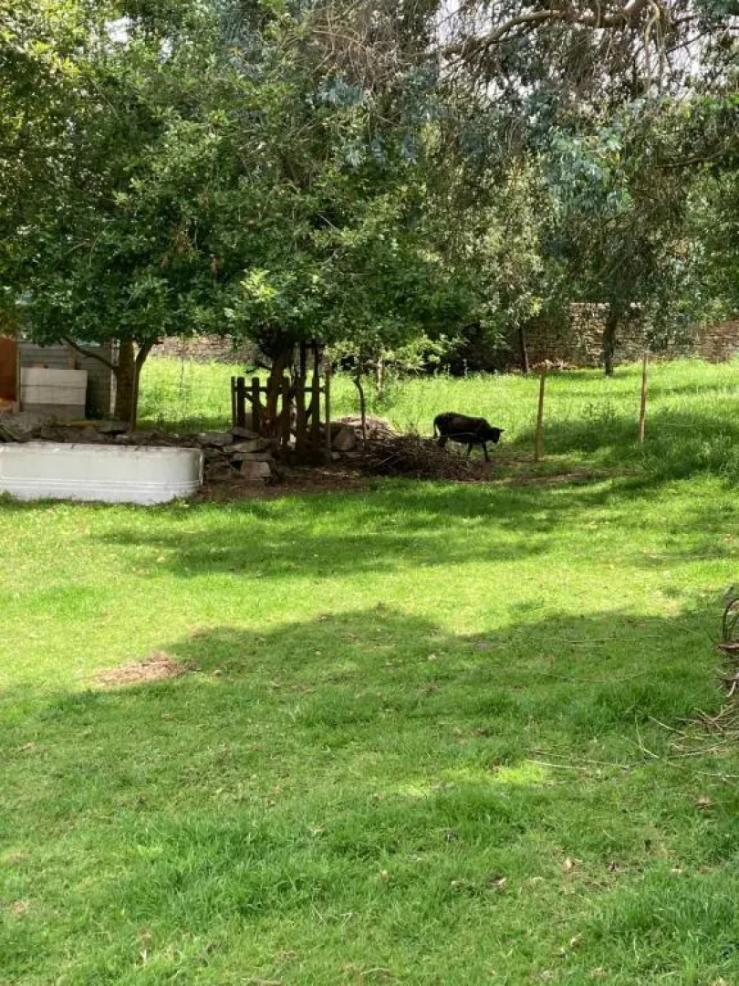 Maison près de l'Océan