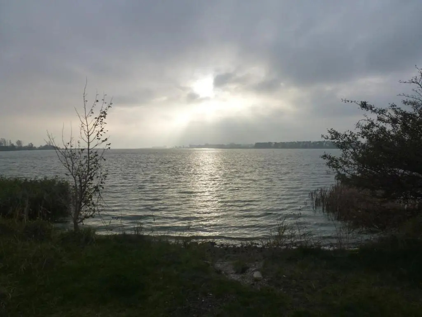 Strandläufer Zempin