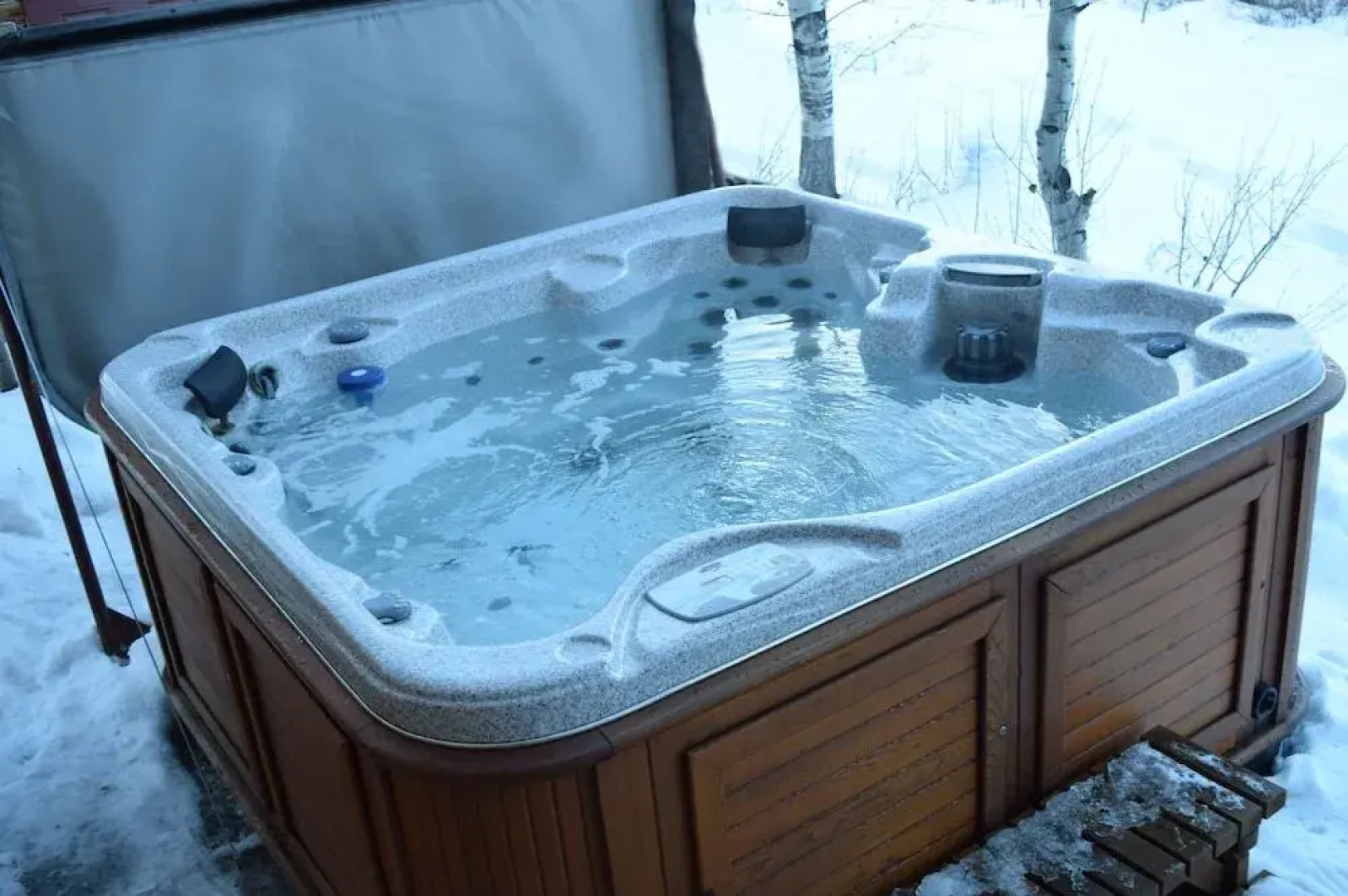 The Aspen Moose Vacation Cabin