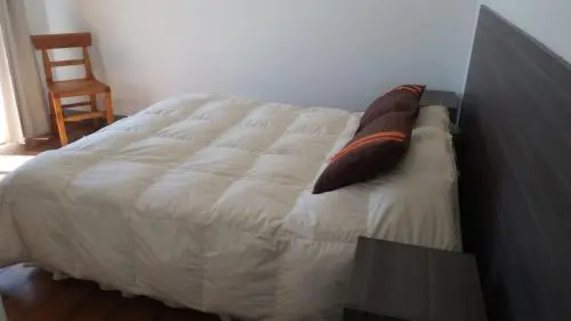 Pingüino En La Roca Cabañas