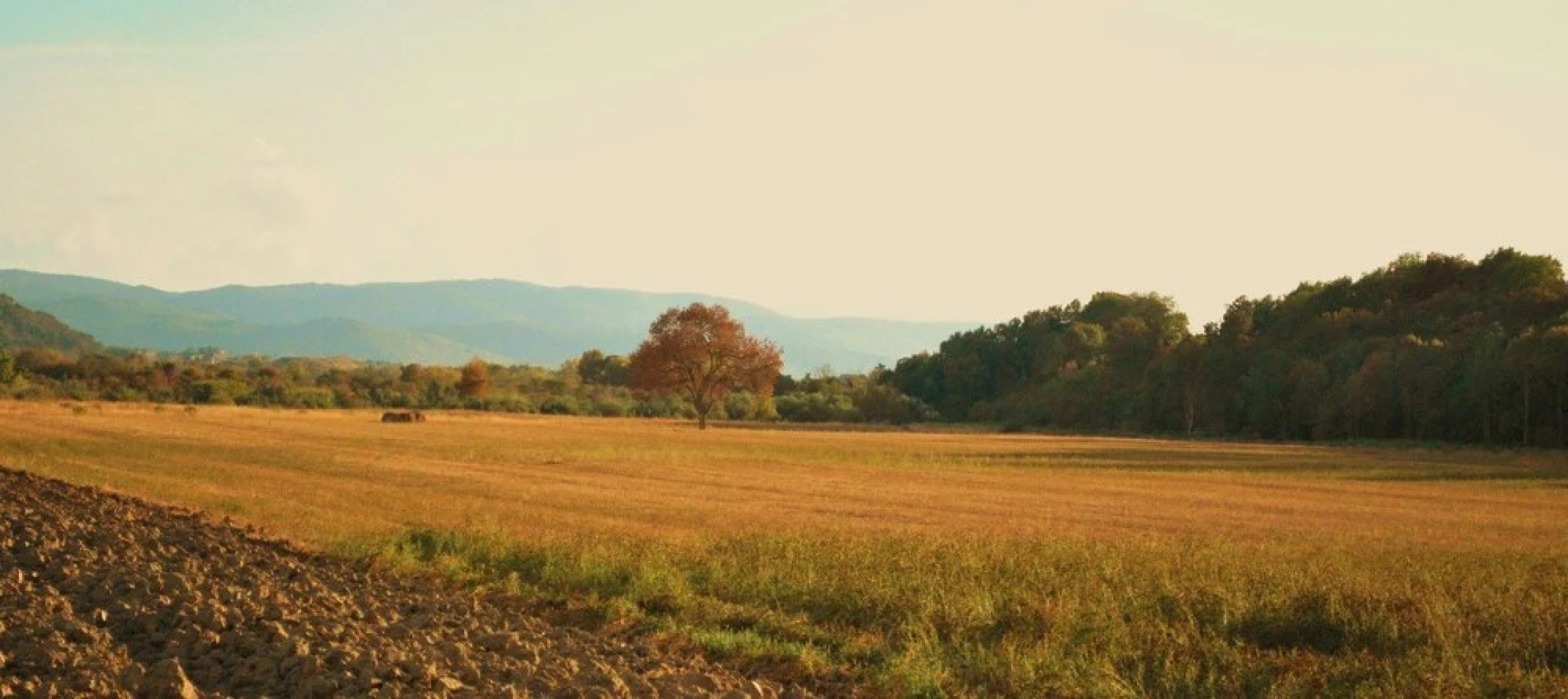Agriturismo Il Puntoncino