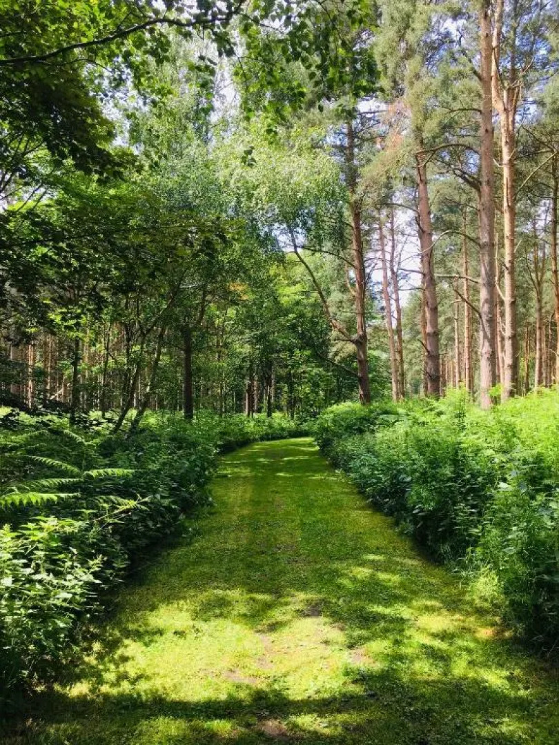 Hollicarrs - Forest Retreat