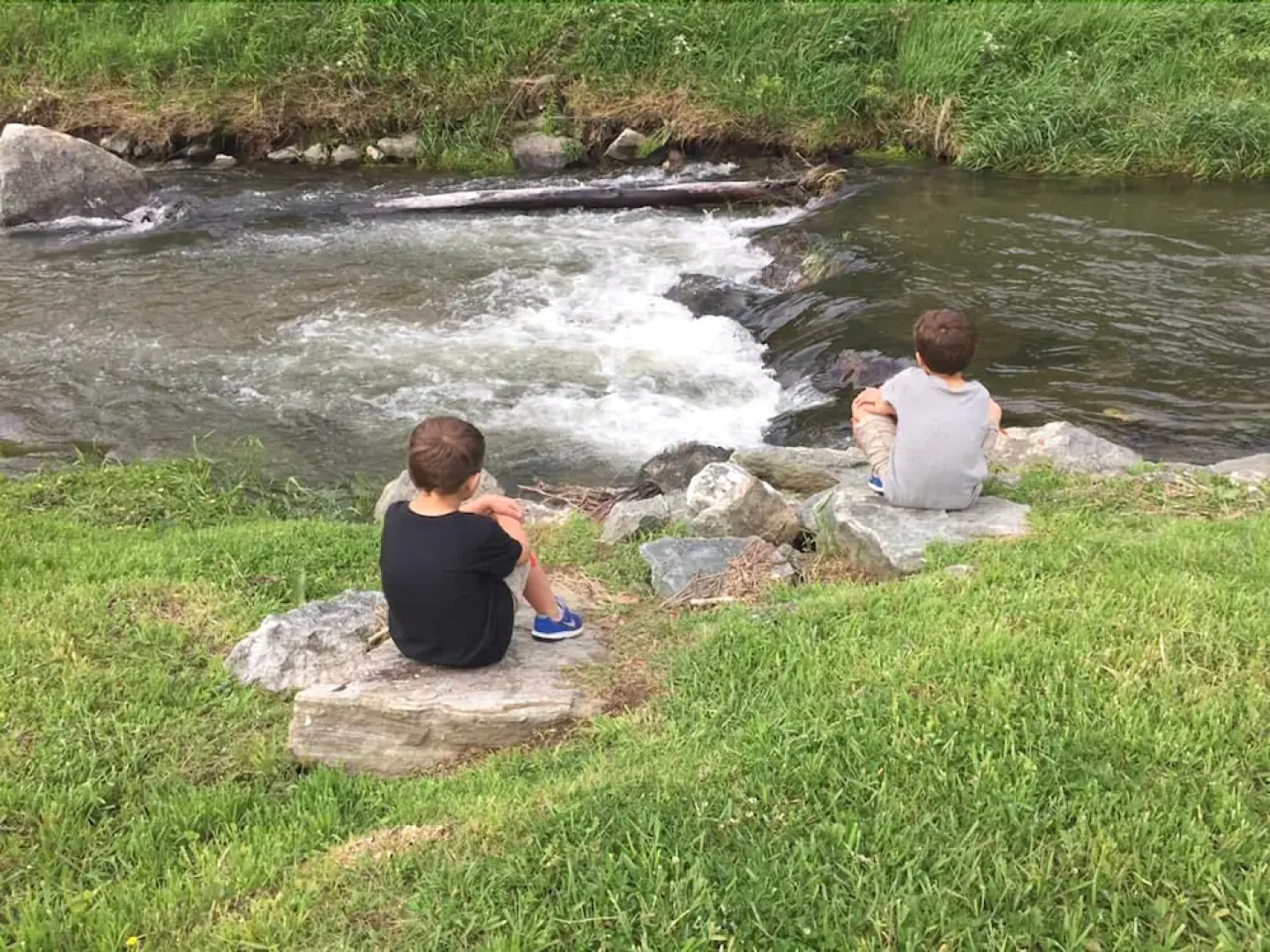 Riverside Log Cabins