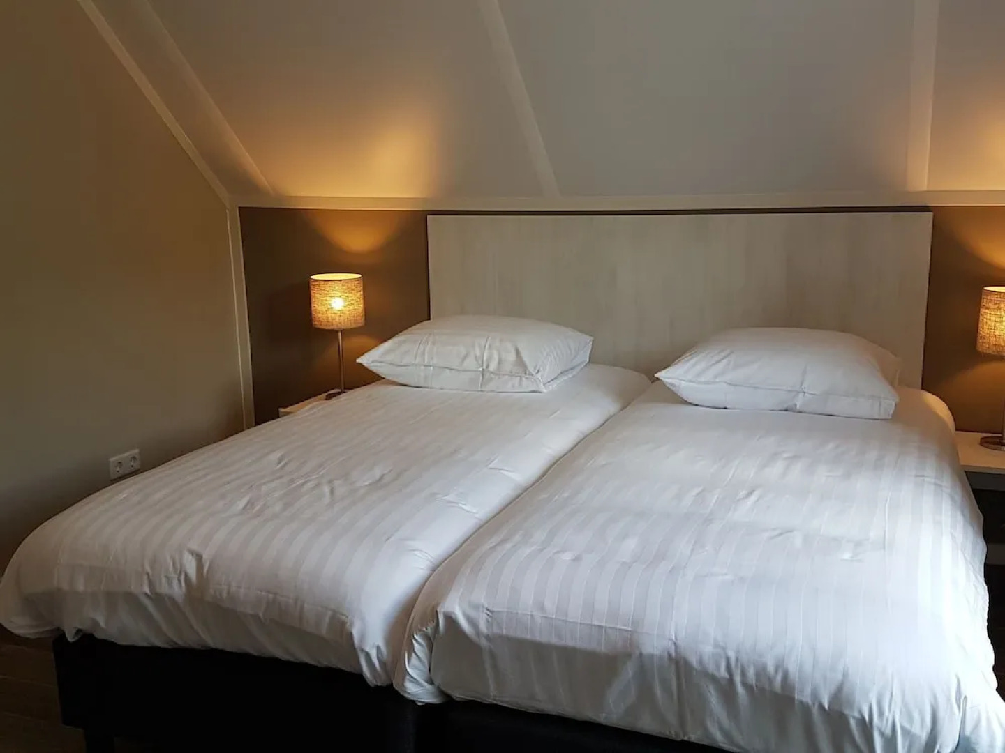 Modern Villa With Garden