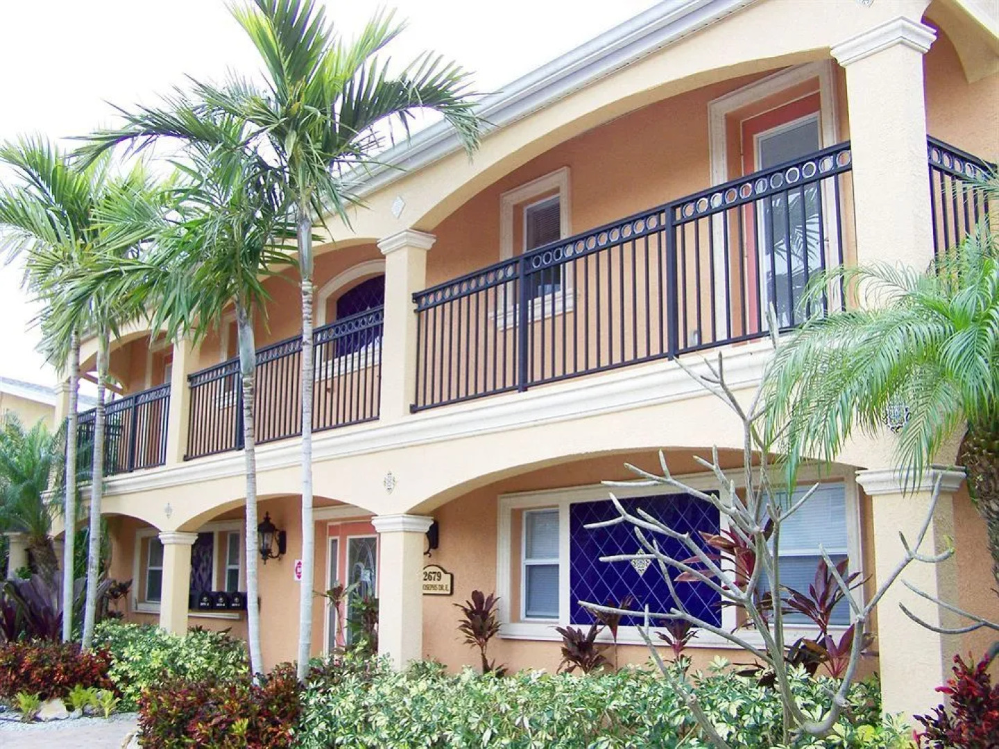 Coconut Villas of Dunedin