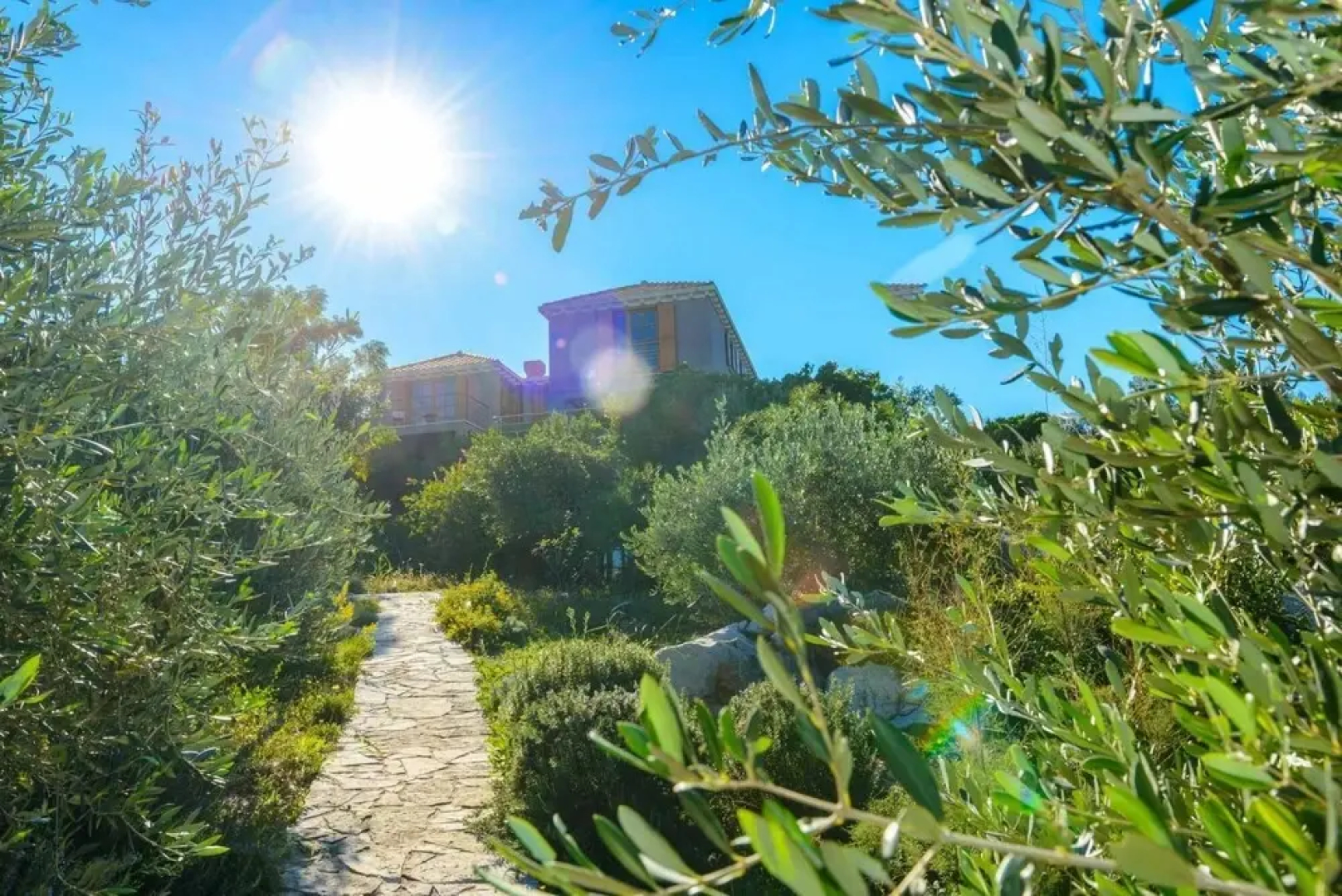 Villa Calamota in Kolocep