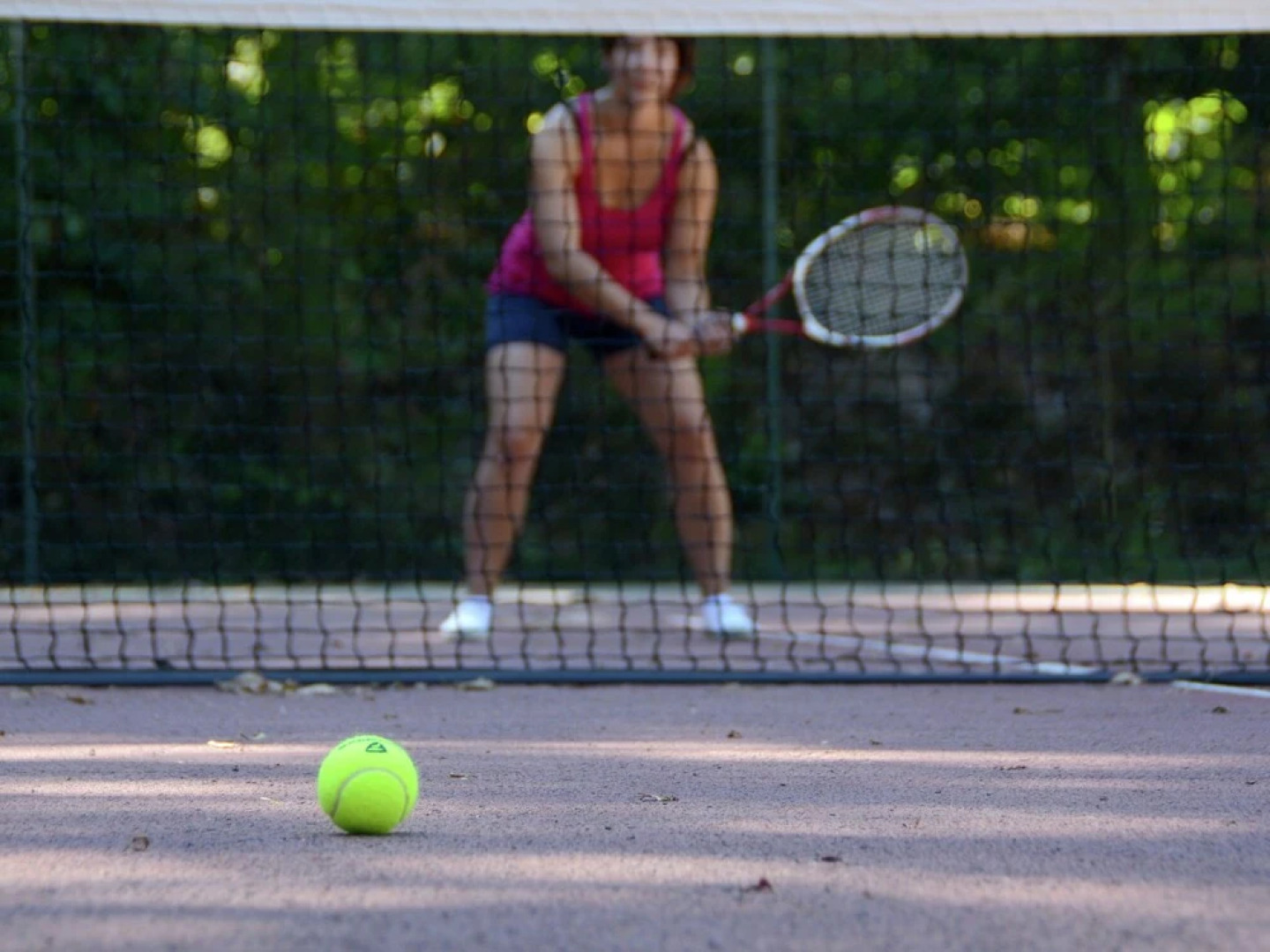 Semi-detached Bungalow With Microwave, in the Great Vendée