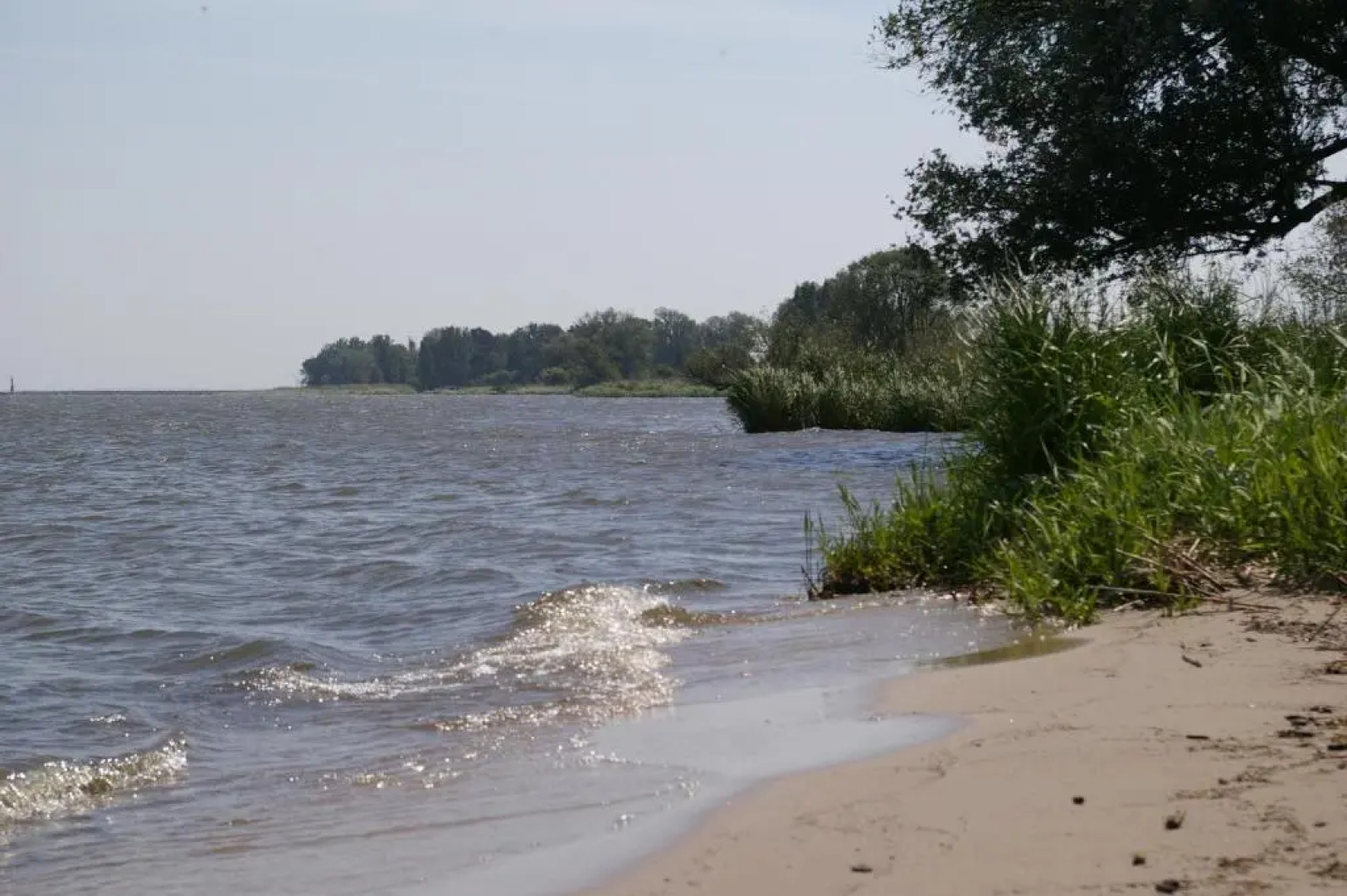 Agroturystyka Pod Brzozami