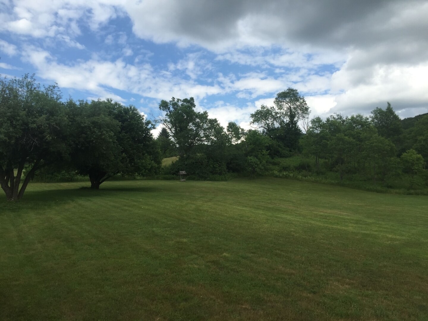 Major League Motor Inn