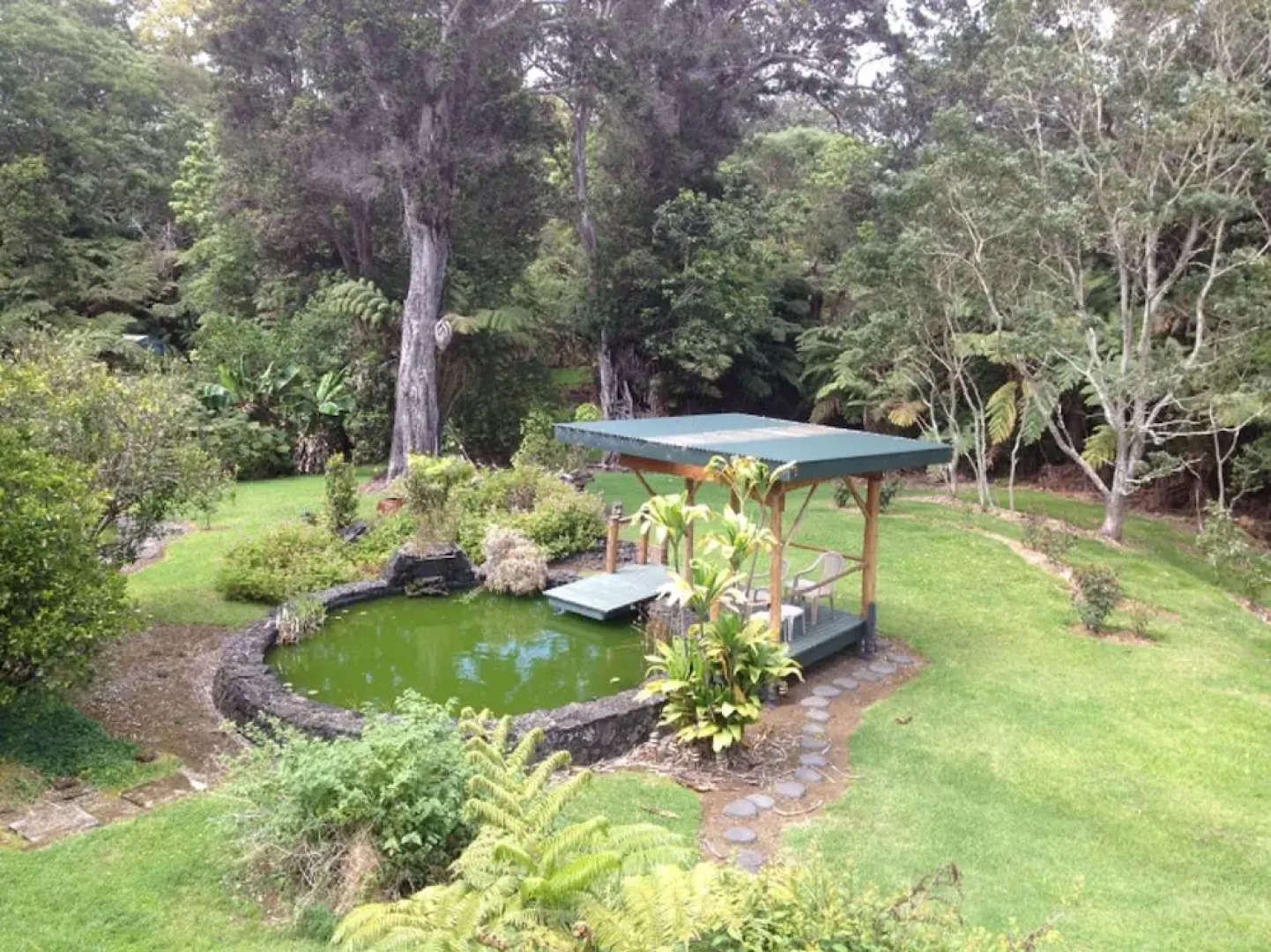 Volcano Big Tree Sanctuary