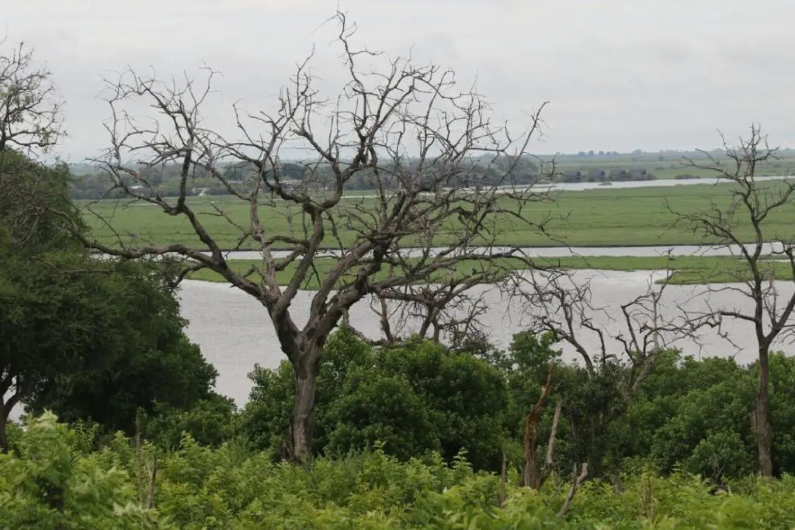 The Residence Kazungula