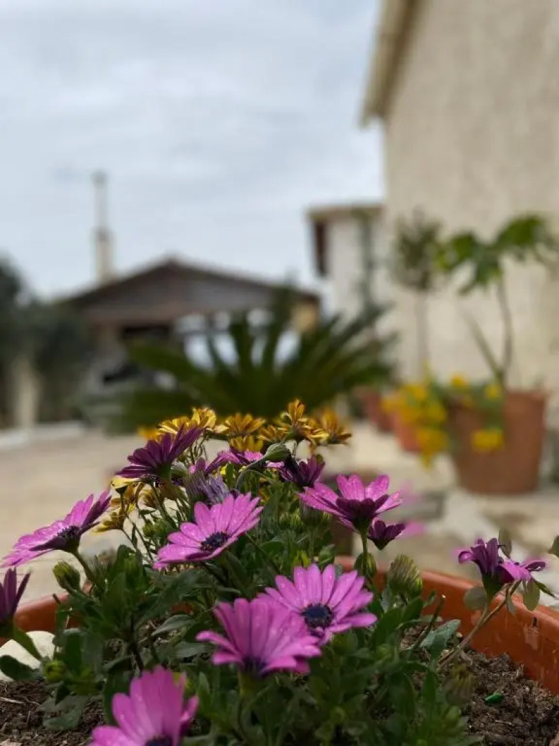 Villa Anasandra - 3 bedroom Villa