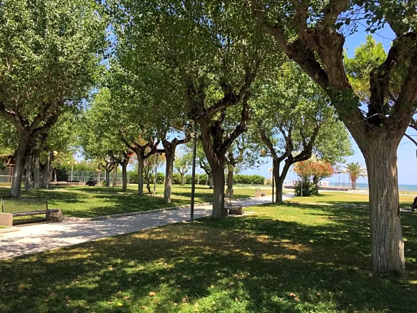 BB SulMare Alba Adriatica