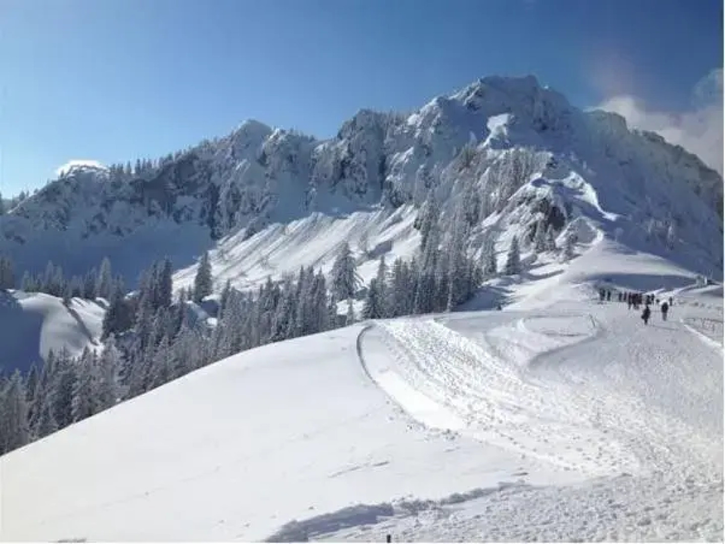 Apparthotel Garni Superior Simsseeblick