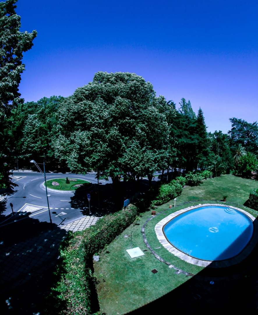 Hotel Grão Vasco Historic Hotel & Spa