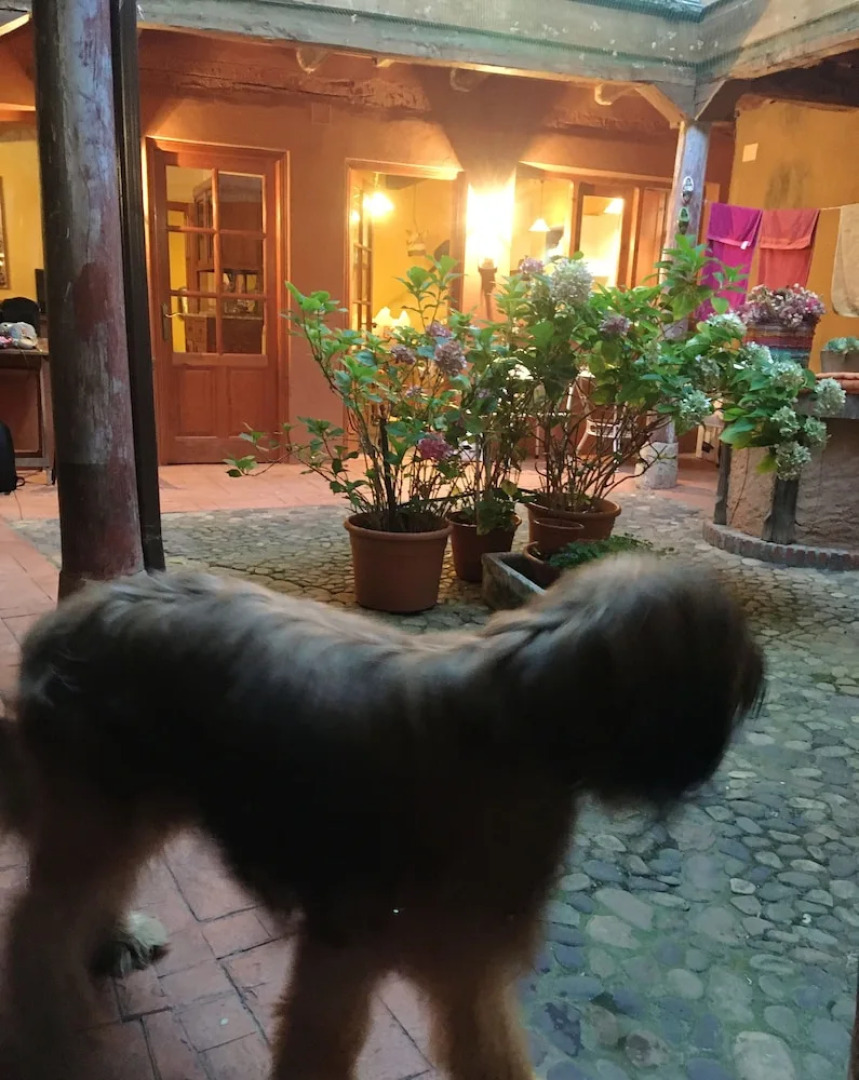 House With 4 Bedrooms in Veguellina de Órbigo, With Furnished Terrace