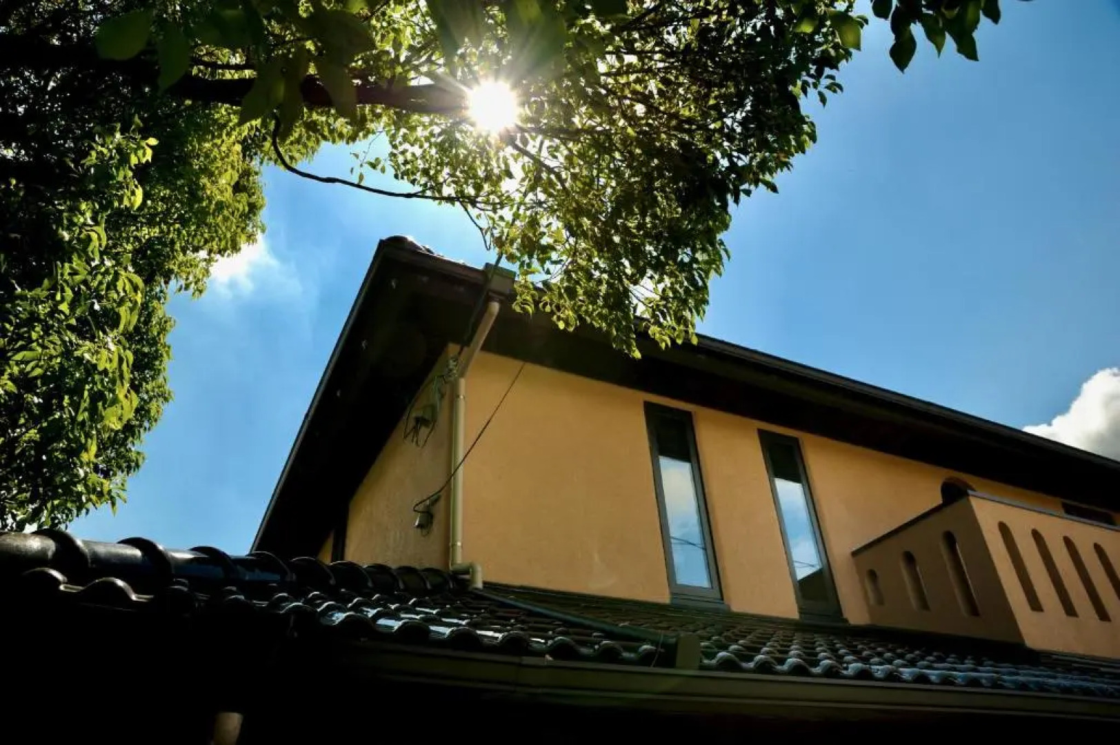 Guest house kusunoki - Hostel