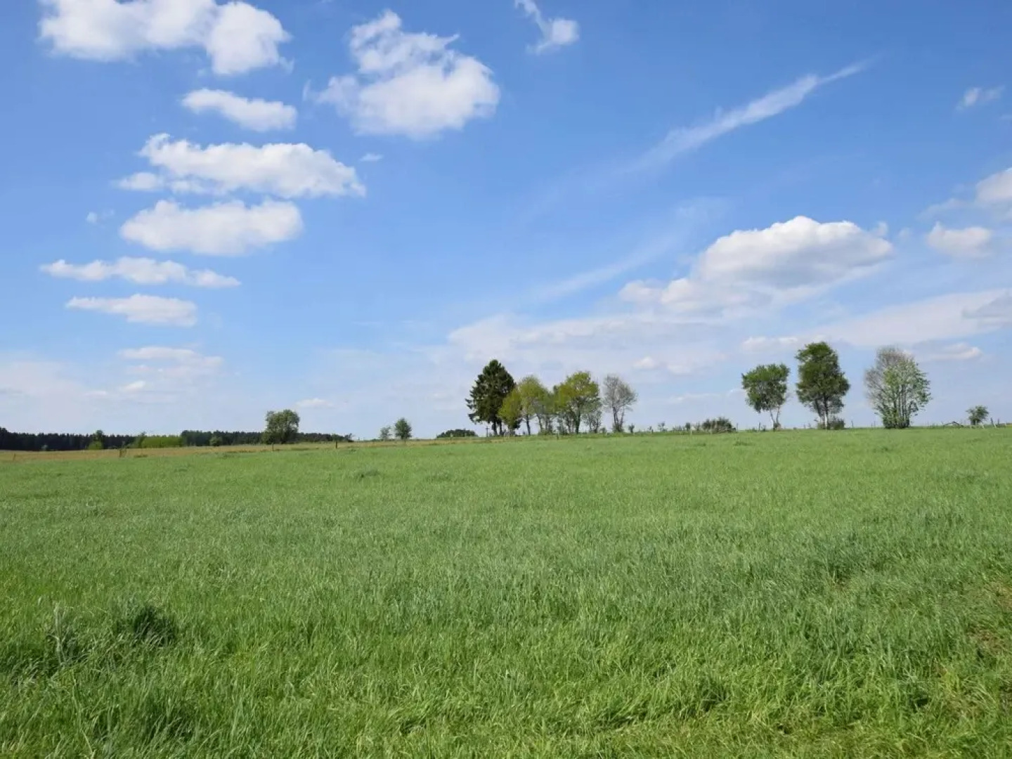 Villa in Houffalize With Infrared Sauna
