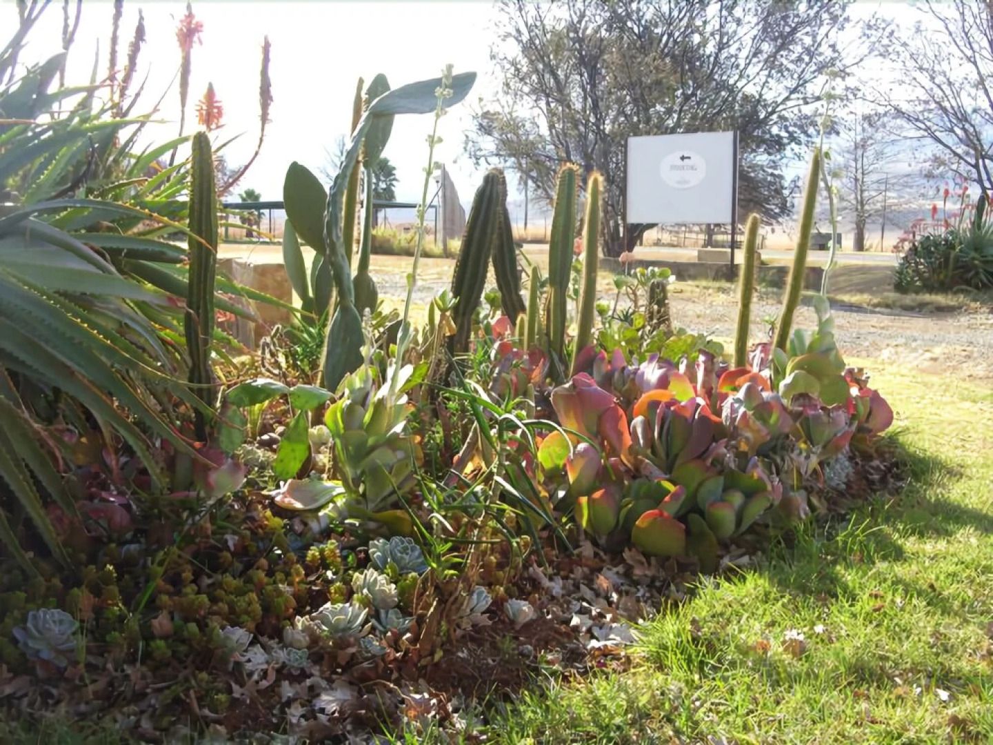 Ezulwini Berg Resort