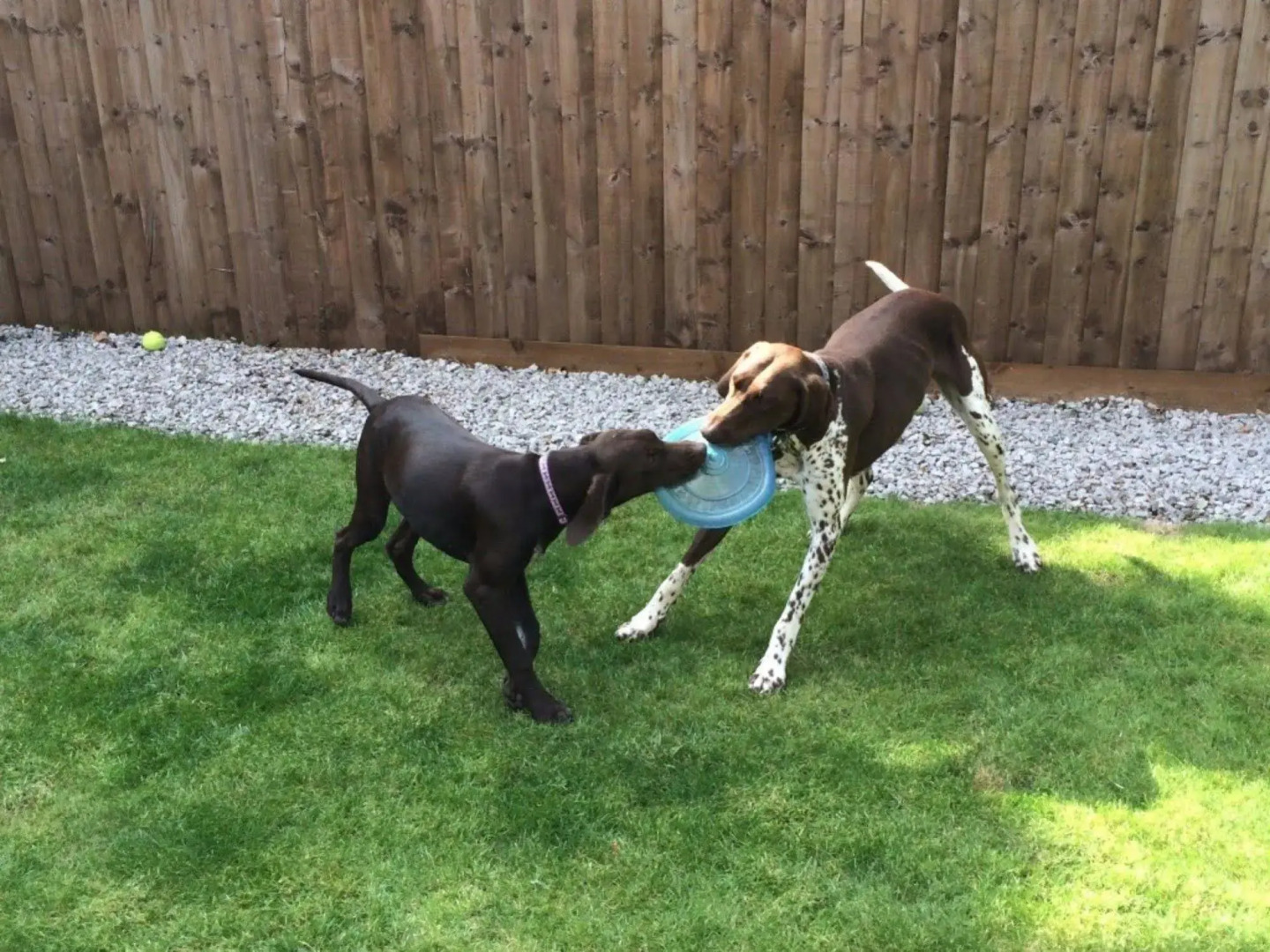 Aotearoa Southport Bed and Breakfast