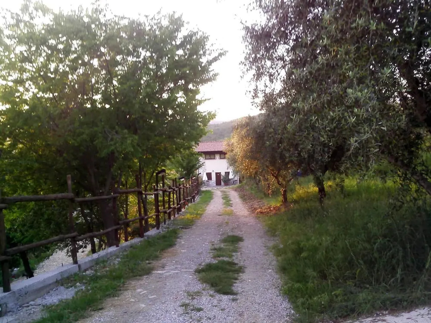 Agriturismo La Rocca degli Ulivi