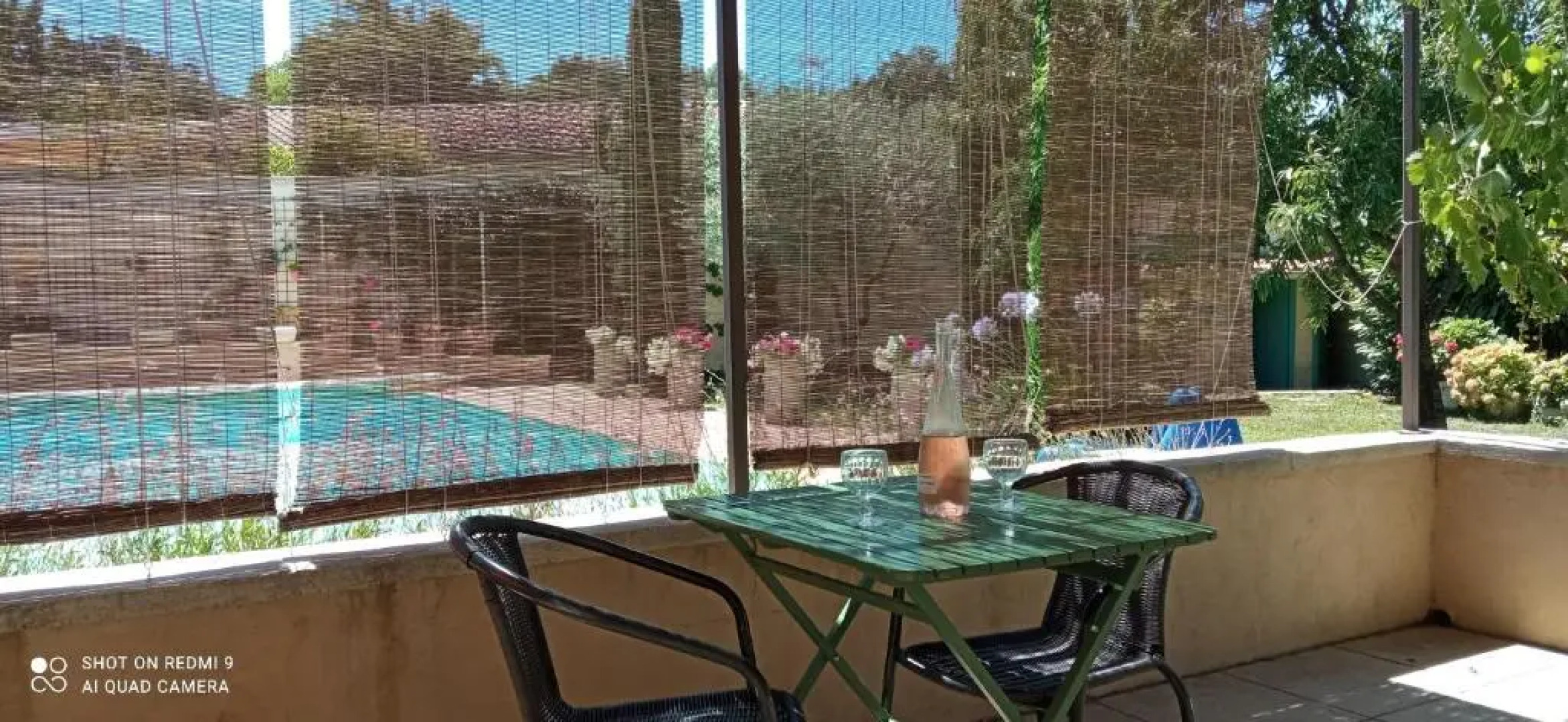 Sous les chênes, en Provence