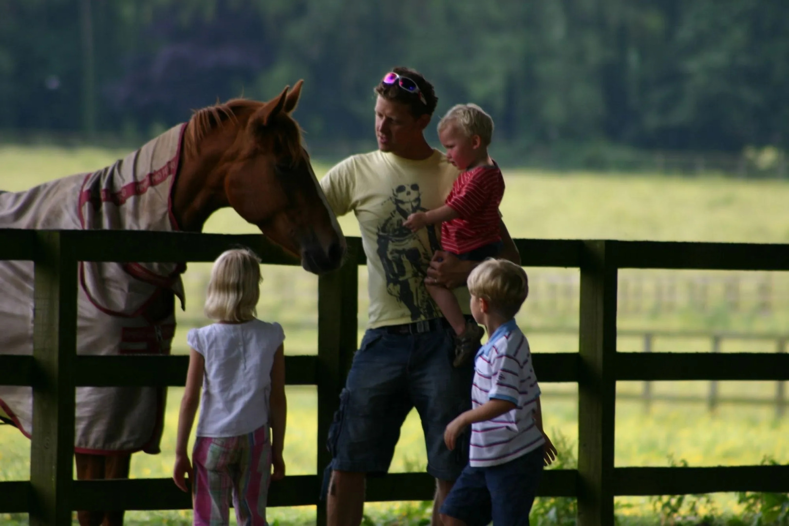 Lucknam Park, Emblems Collection