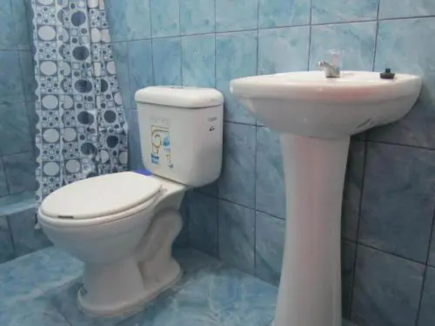 Backpacker The Adventurer