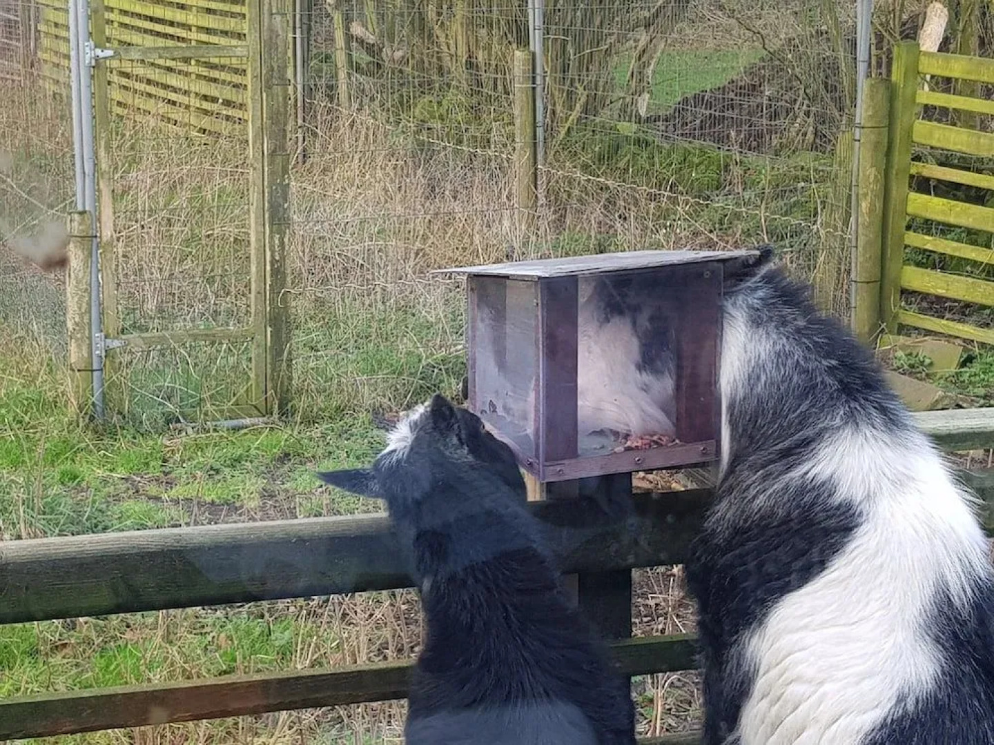Beech Lane Farmhouse