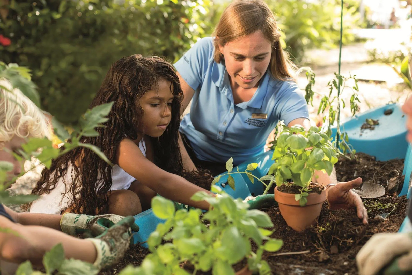 The Ritz-Carlton, Grand Cayman