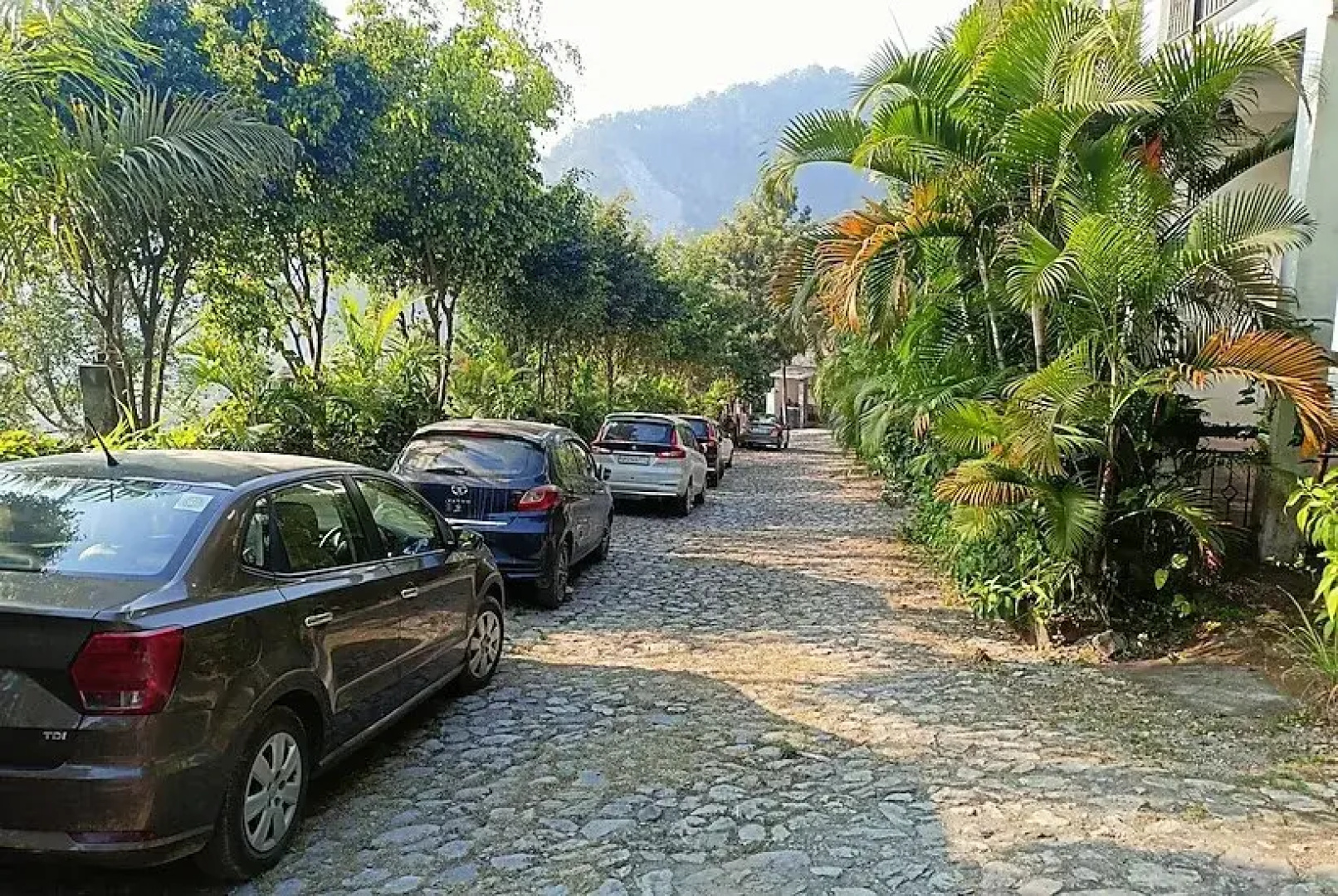 Saalvan Resort