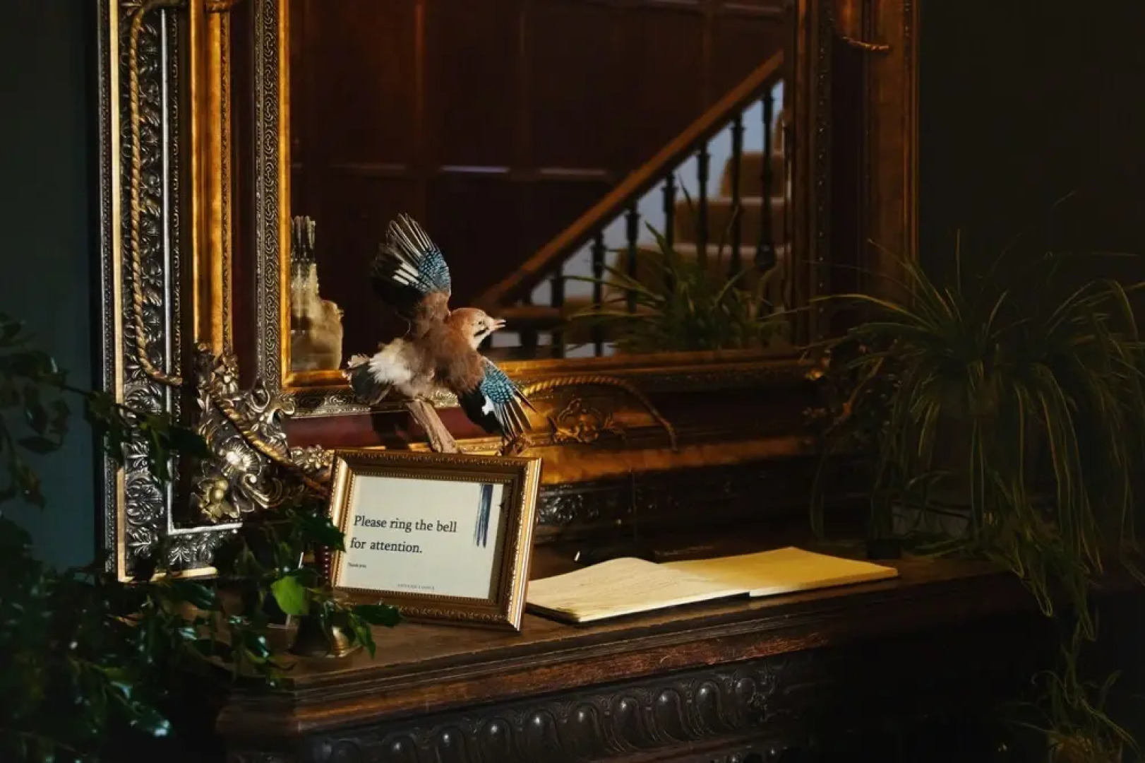 The Apartment at Foyers Lodge