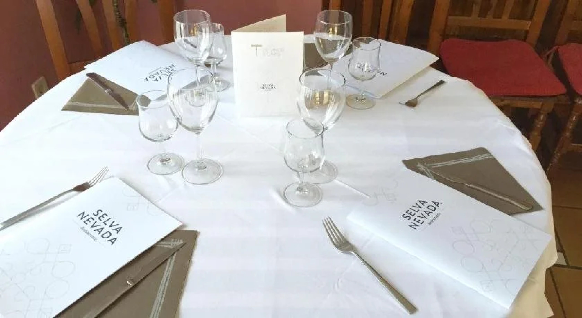 Apart-Hotel Selva Nevada